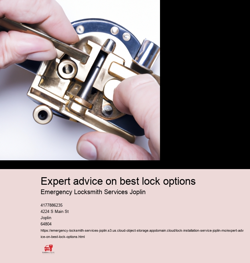 Expert advice on best lock options